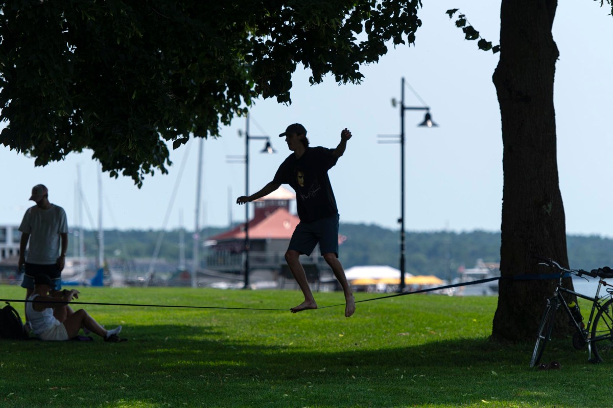 A person balances on a slackline tied between two trees in a grassy park, with others nearby and a waterfront visible in the background.