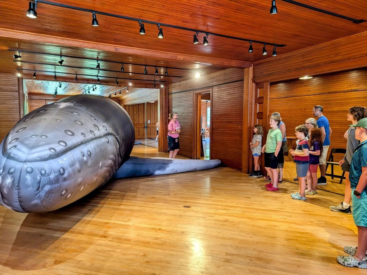 Into the belly of the whale: Summer readers embark on a unique voyage