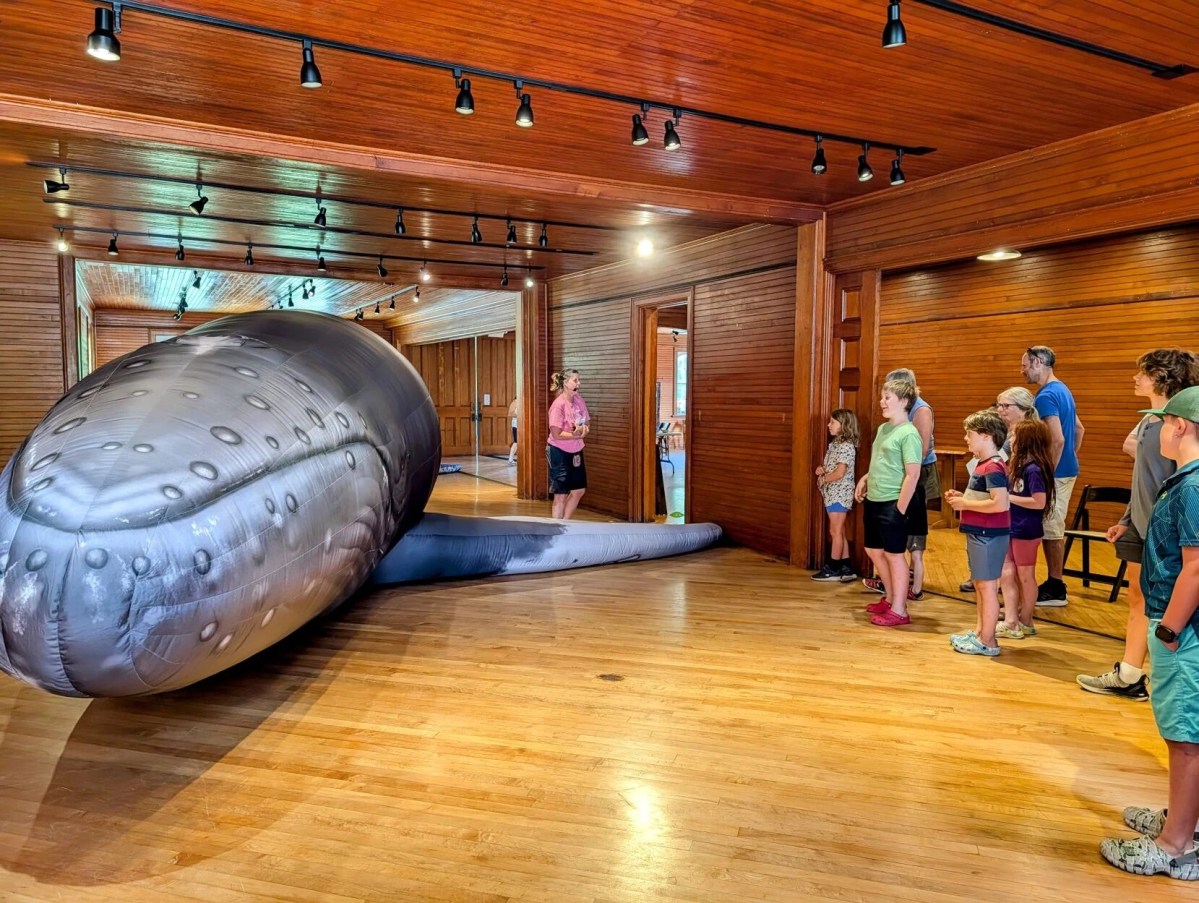 A group of people stands in a wooden room, observing a large inflatable whale as a guide in pink shirt speaks to them.