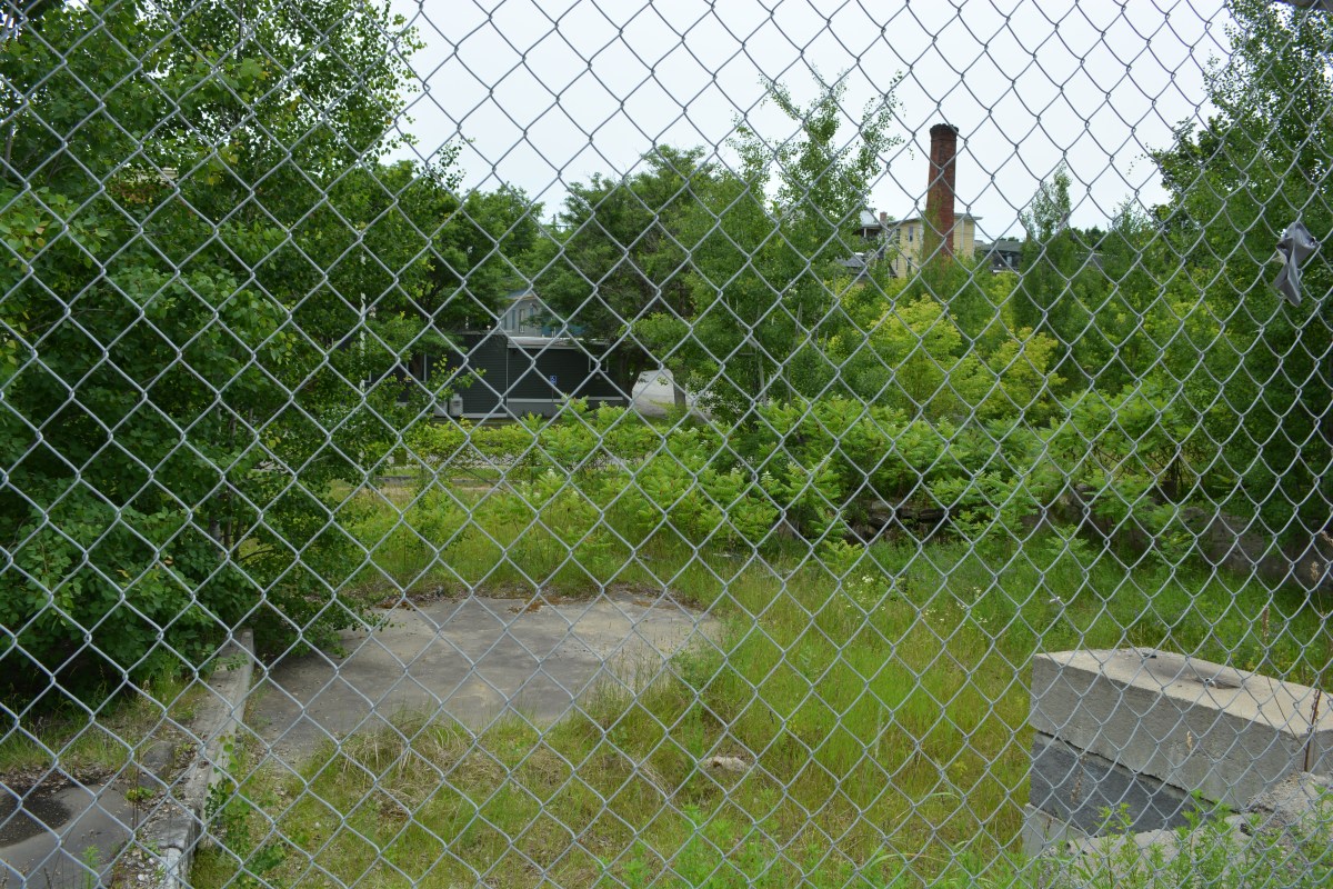Chain-link fence in foreground, overgrown vegetation, concrete slab, and industrial buildings with a tall chimney in the background.