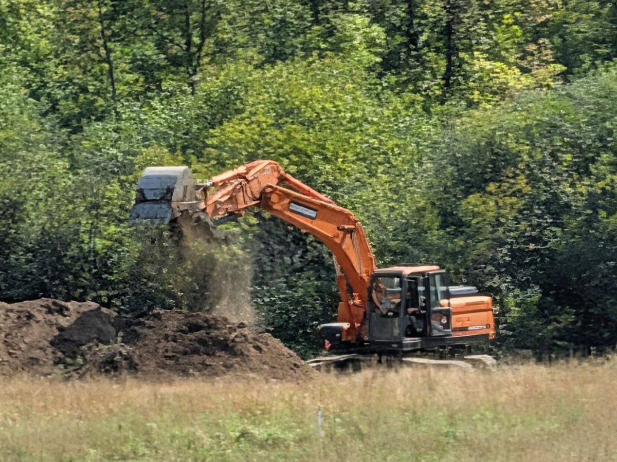 Restoring the river’s memory: Bringing back the banks of the Batten Kill