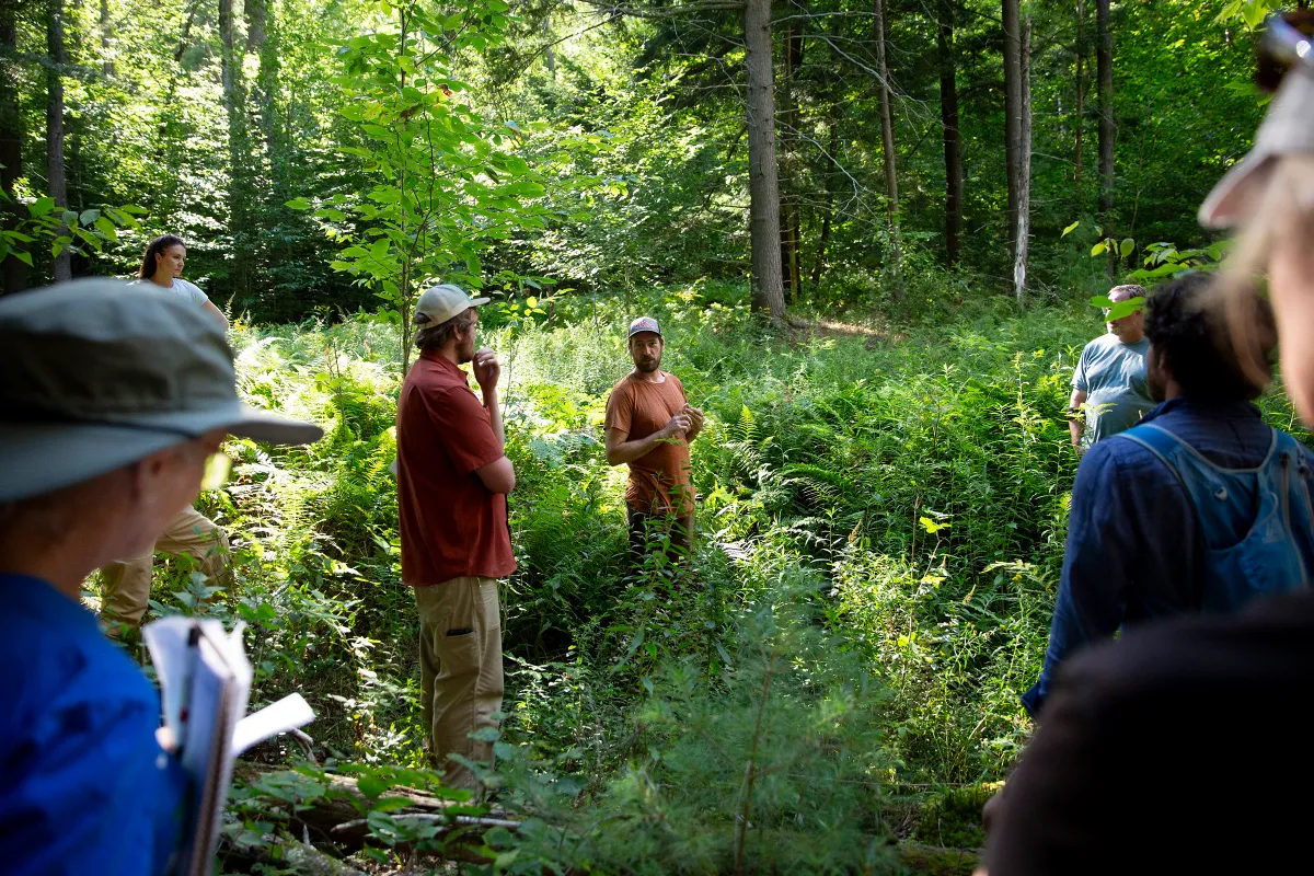 A group of people stands in a forest clearing, listening to a person speaking while surrounded by trees and dense greenery.