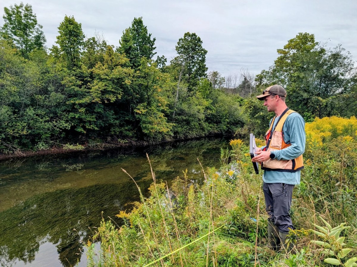 Restoring the river’s memory: Bringing back the banks of the Batten Kill