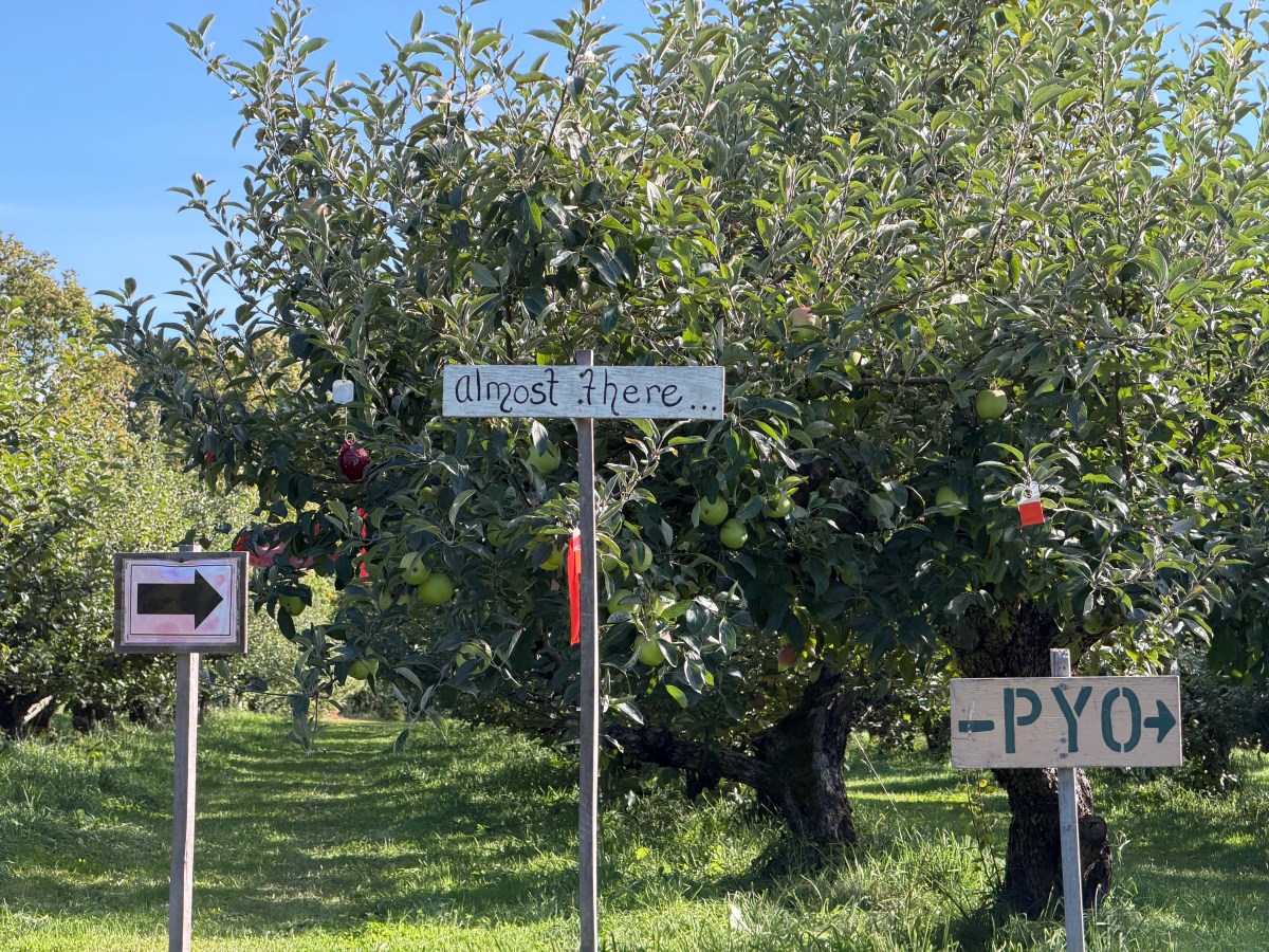 Vermont pick-your-own orchards’ success depends on the weather