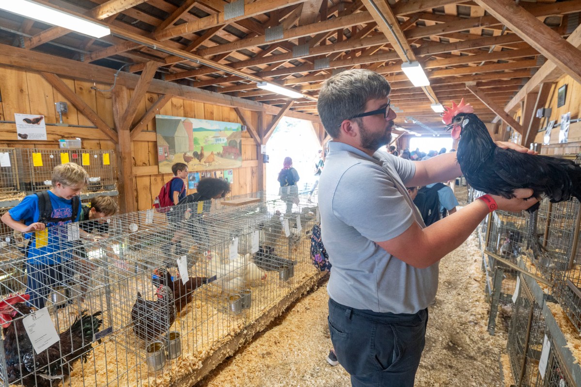 A man holds a black chicken inside a barn with caged chickens, as children and adults observe the animals.