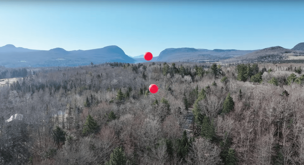 Two red balloons float above a forested landscape with mountains in the background under a clear blue sky.
