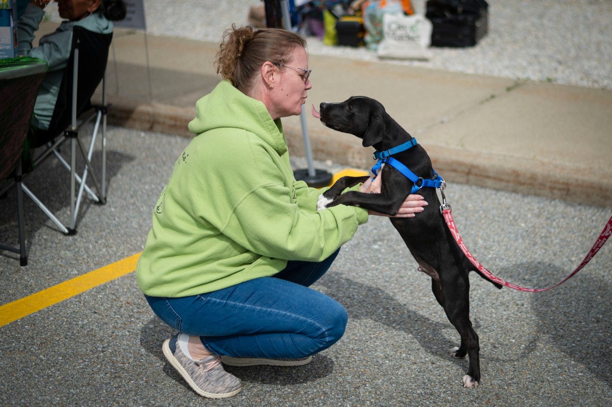 A woman in a green hoodie kneels and interacts closely with a small black dog wearing a blue harness and red leash outdoors.