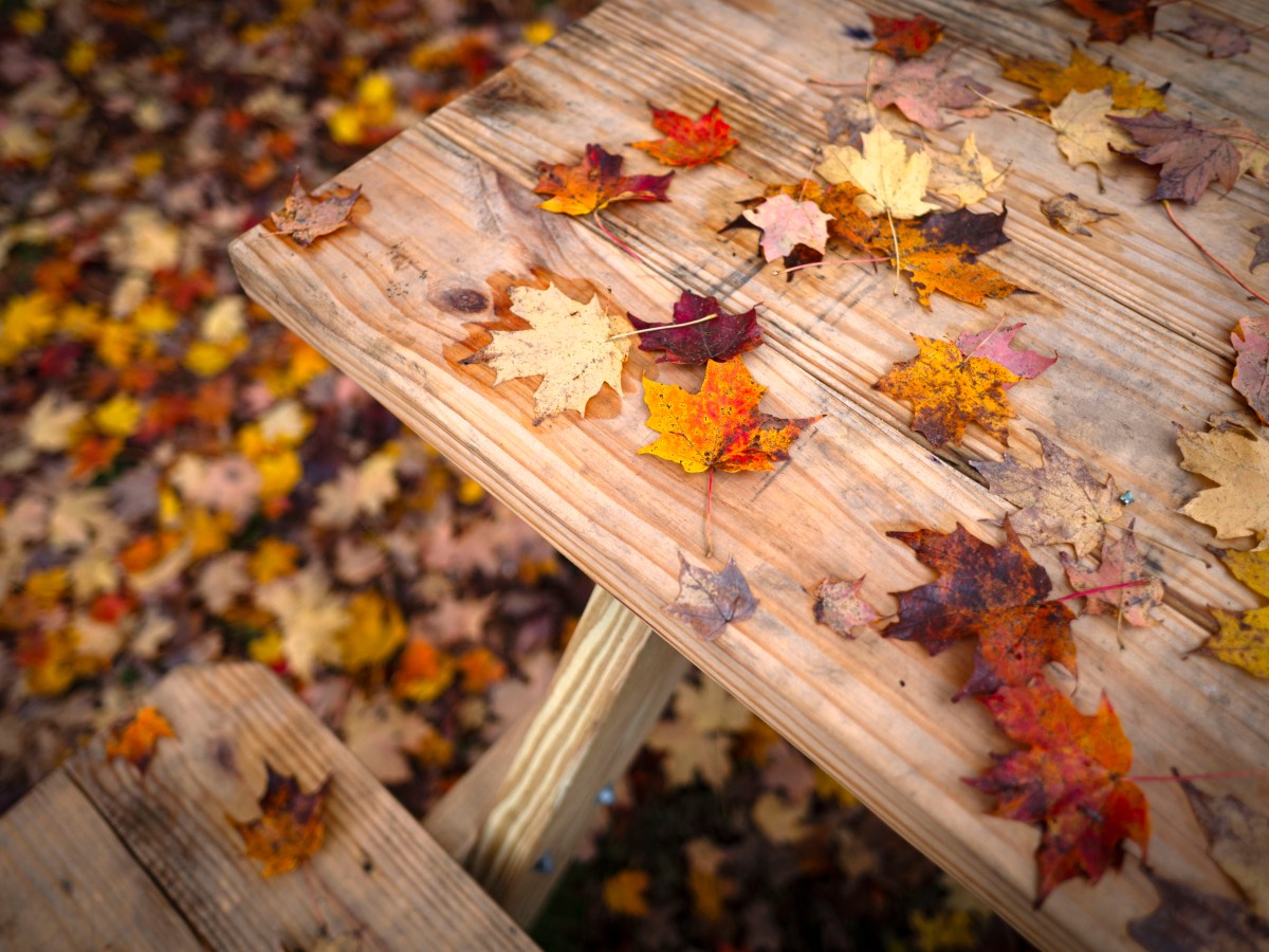 After a stormy week, cold arrives and much of Vermont passes peak foliage