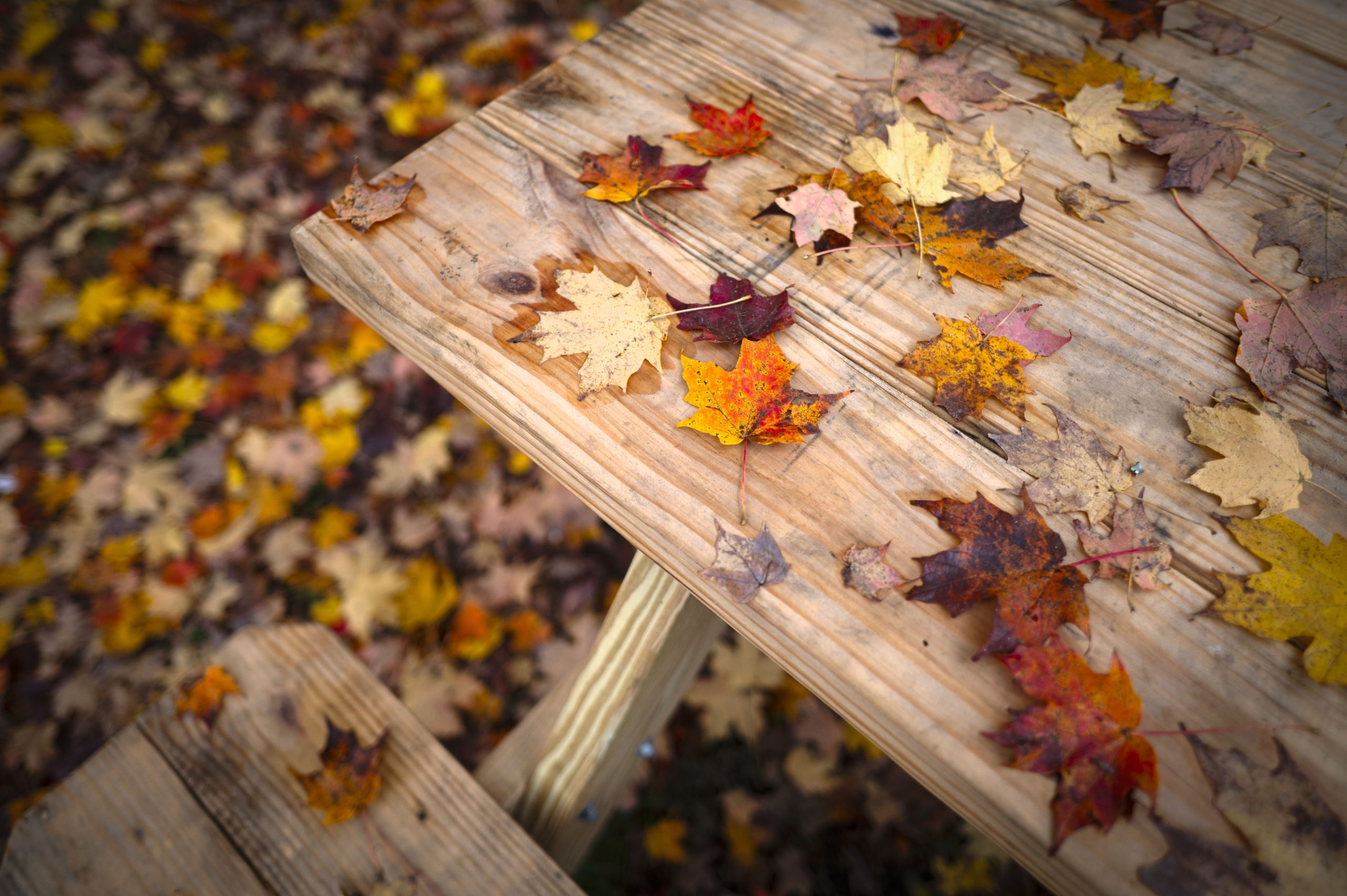 After a stormy week, cold arrives and much of Vermont passes peak foliage
